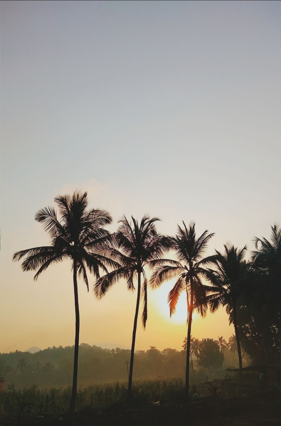 Photo of Broke,All girls trip to Goa by Manasa Krishna