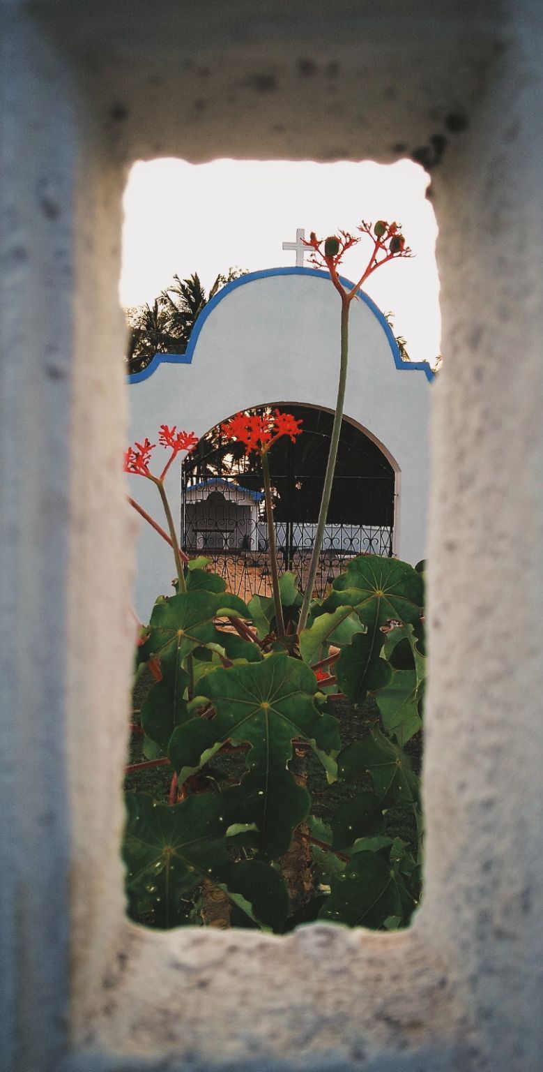 Photo of Broke,All girls trip to Goa by Manasa Krishna
