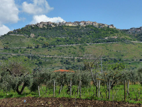 Photo of Artichoke Festival in Sezze, Italy 14/14 by Louise