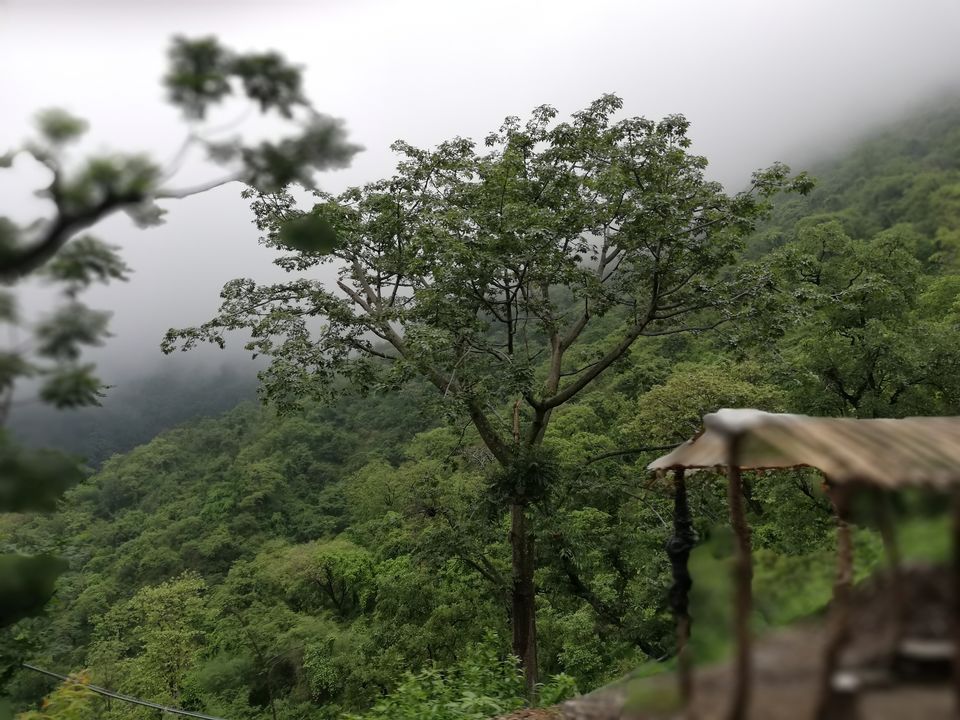 Photo of JAGESHWAR: AN UNEXPLORED SIDE OF UTTRAKHAND 1/6 by Shashwat Sharma
