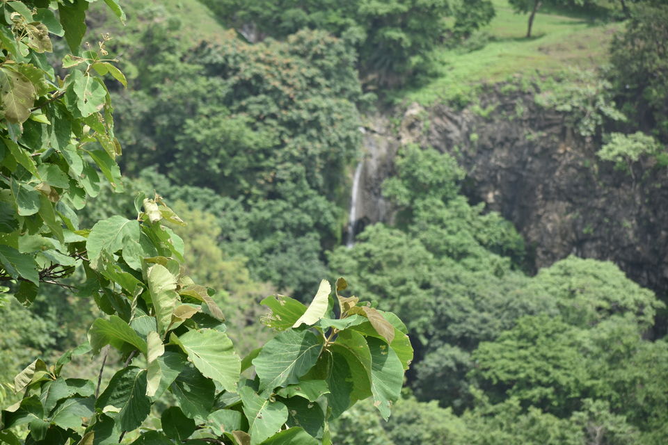 Photo of KAJLIGARH FORT: AN ESCAPE FROM INDORE BUSYNESS 3/3 by Shashwat Sharma