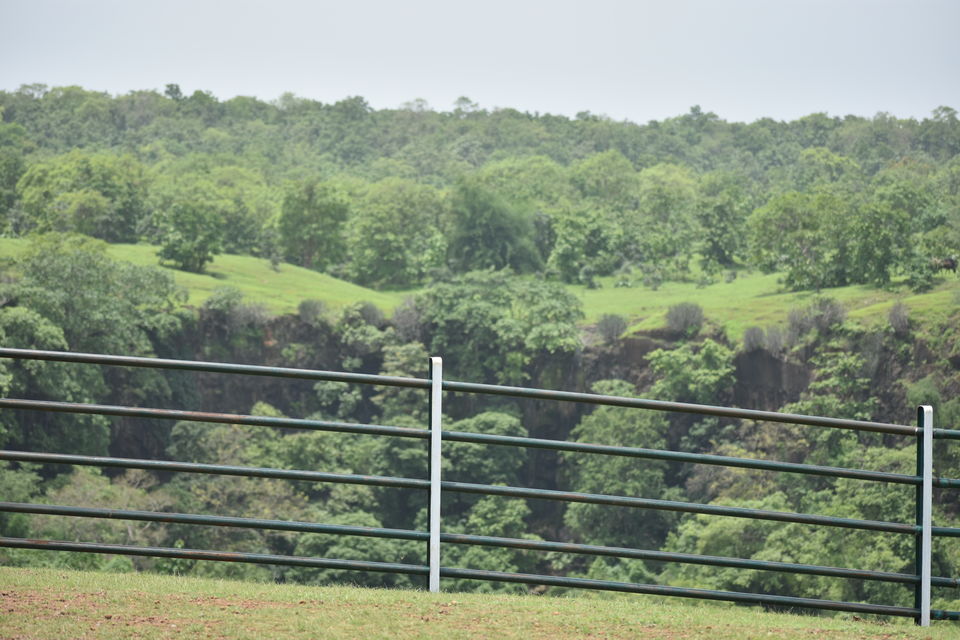 Photo of KAJLIGARH FORT: AN ESCAPE FROM INDORE BUSYNESS 2/3 by Shashwat Sharma