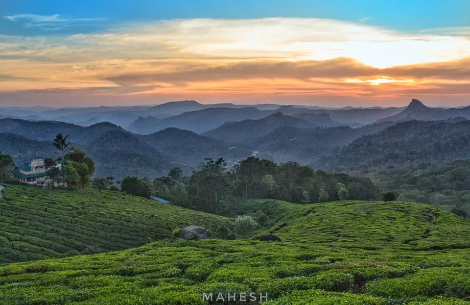Photo of Munnar, Kerala, India by Soul and Fuel