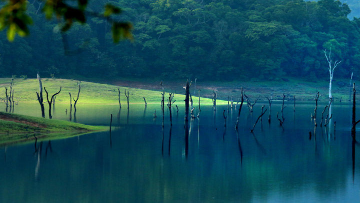 Photo of Thekkady, Kerala, India by Soul and Fuel
