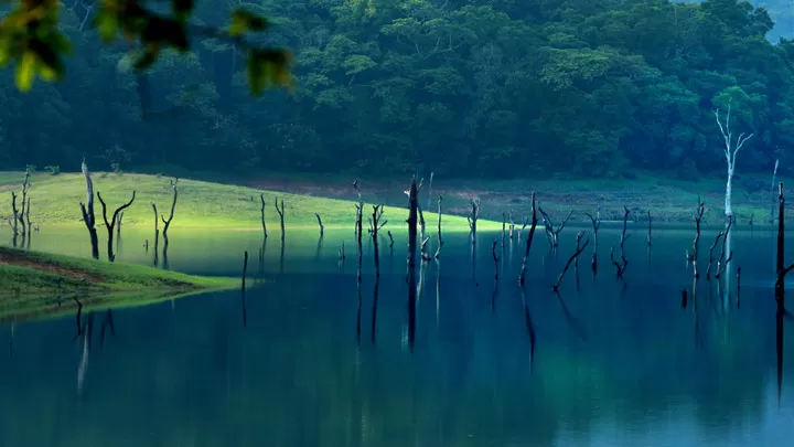 Photo of Thekkady, Kerala, India by Soul and Fuel