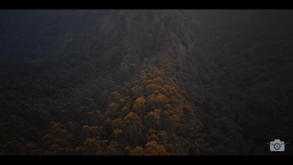 Photo of Vattakanal Cliff Viewpoint, Vattakanal, Kodaikanal, Tamil Nadu, India by Soul and Fuel