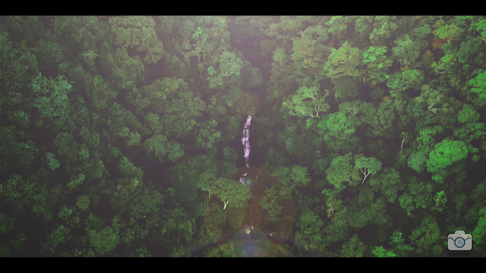 Photo of Vattakanal Water Falls, Dindigul, Tamil Nadu, India by Soul and Fuel