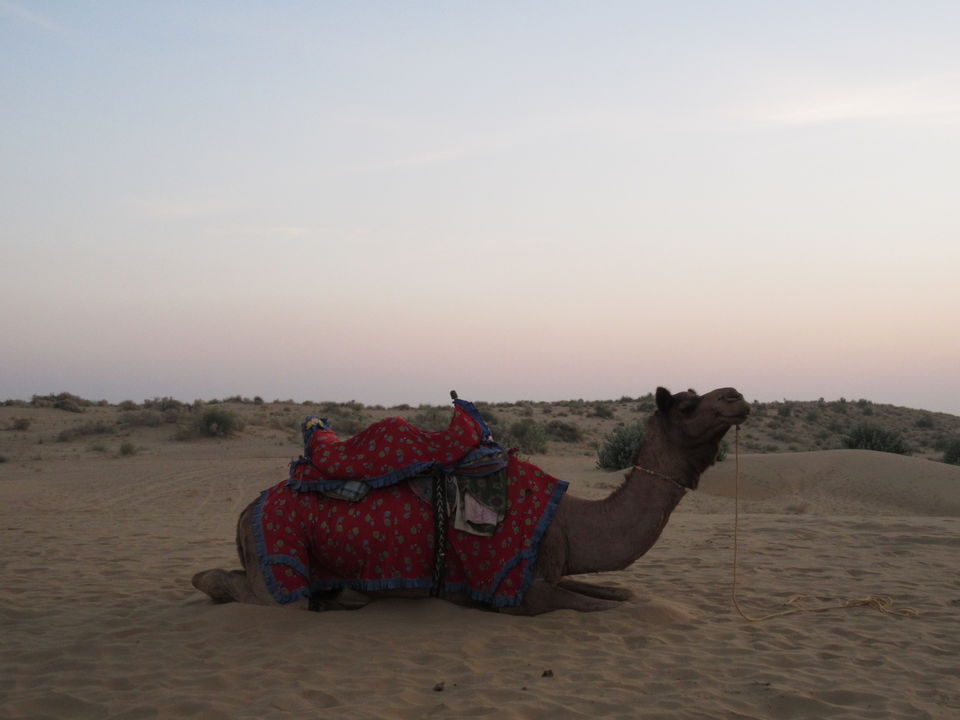 Photo of Jaisalmer! Rendezvous with The Golden City 14/26 by Shivi Goel