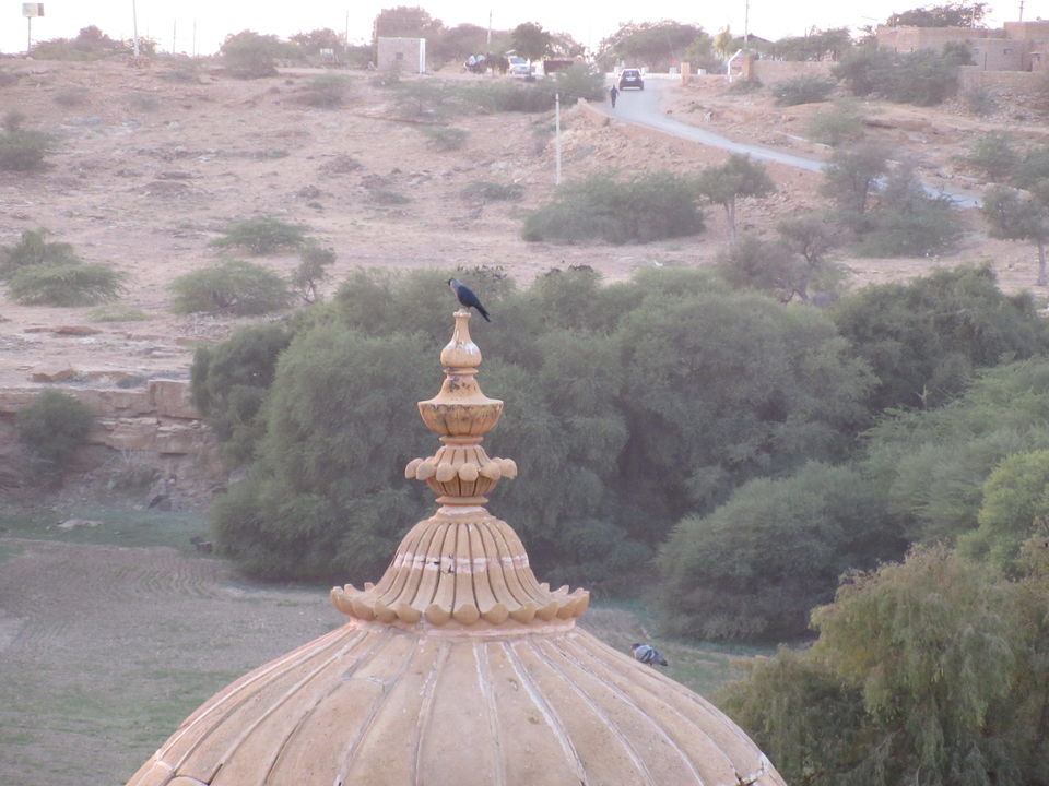 Photo of Jaisalmer! Rendezvous with The Golden City 21/26 by Shivi Goel