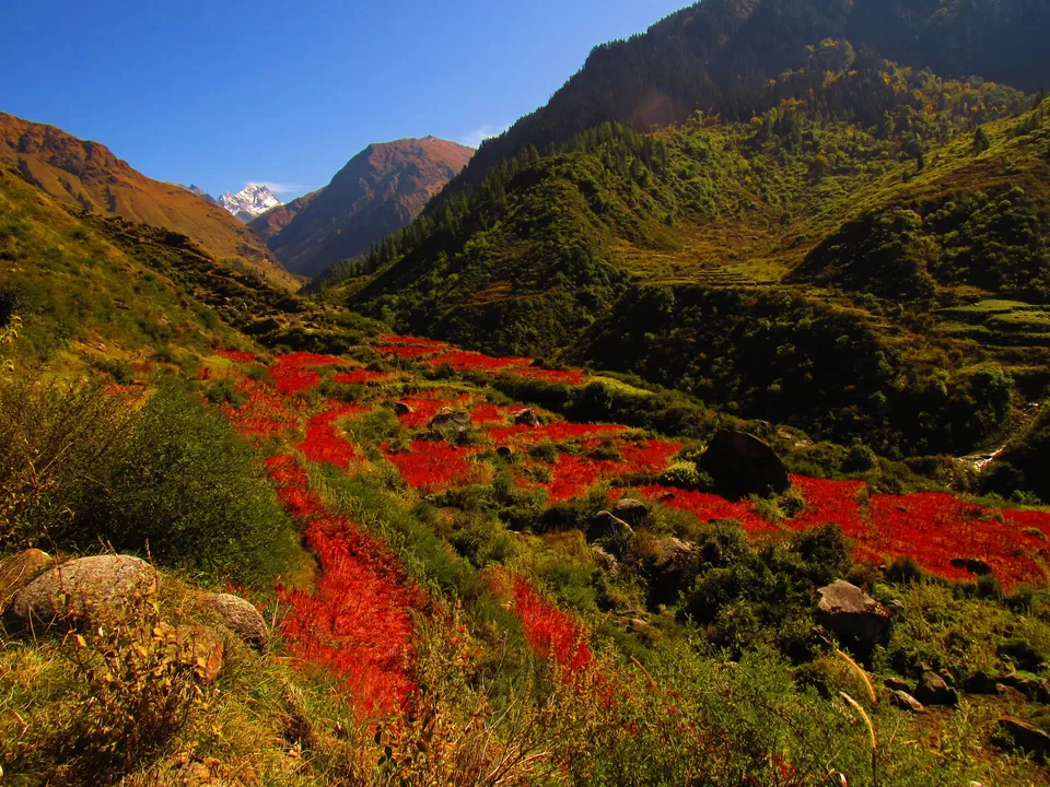 Photo of Seema, Uttarakhand, India by Krishan Banerjee