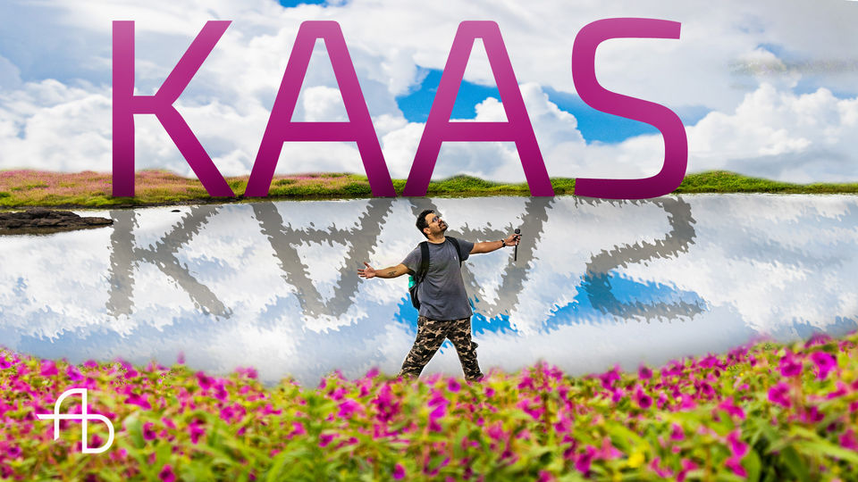 Photo of Kaas | Plateau of Wonders | #BestofMaharashtra by AJINXD Artist