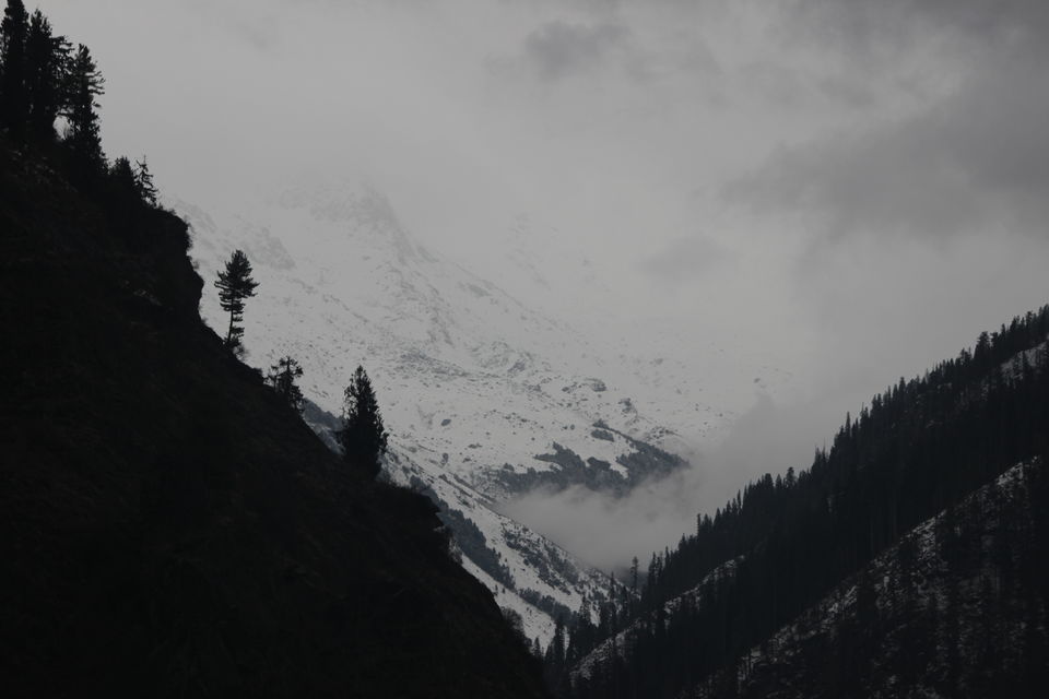 Photo of A WEEK WITH THE HIMALAYA's by Road Runner