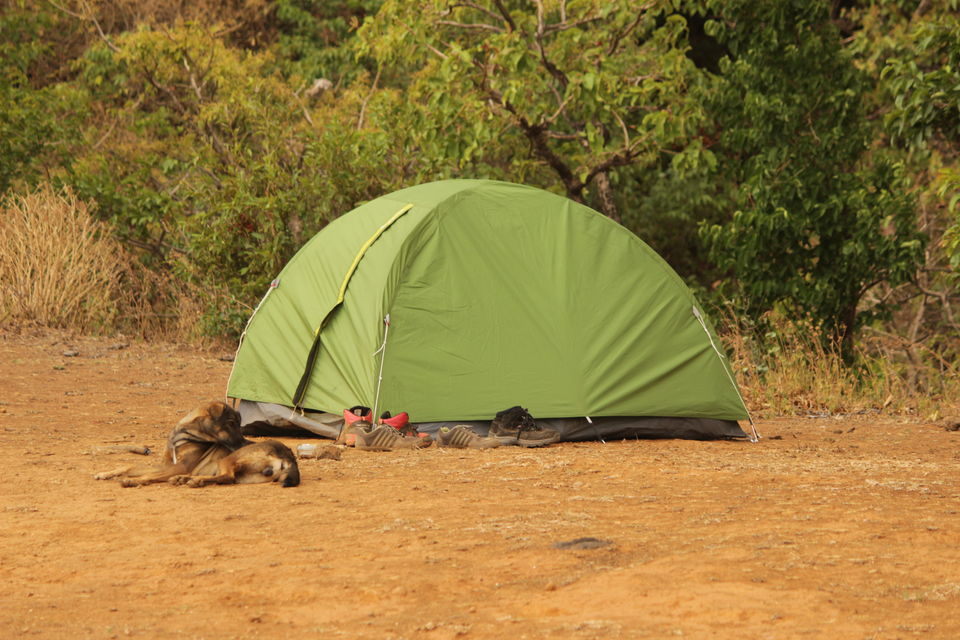 Photo of Trek to the Top of Maharashtra by Sukesh Jain