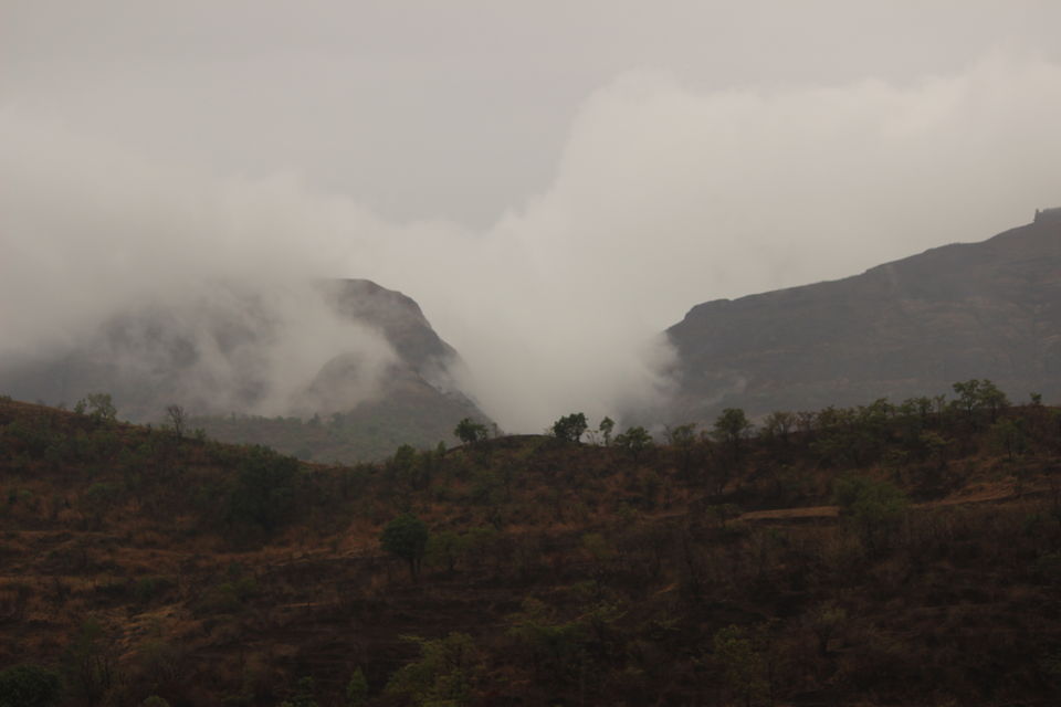 Photo of Trek to the Top of Maharashtra by Sukesh Jain