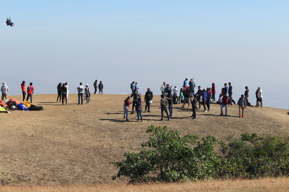 Photo of FLYING WITH THE BIRDS by Sukesh Jain