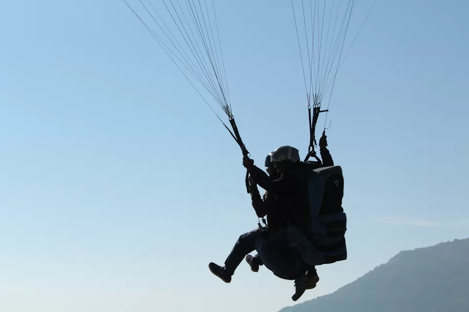 Photo of FLYING WITH THE BIRDS by Road Runner