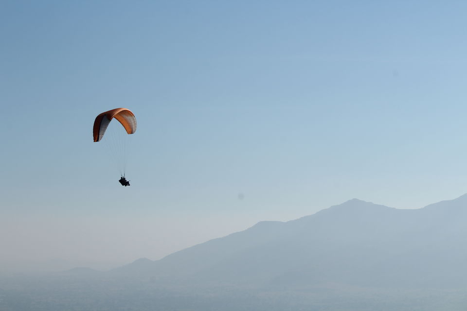 Photo of FLYING WITH THE BIRDS by Sukesh Jain