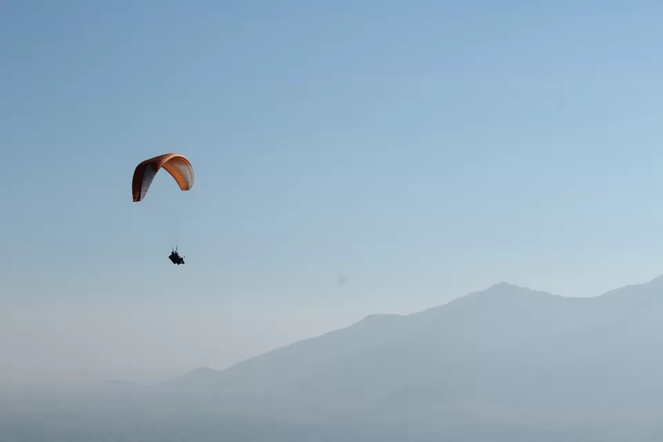 Photo of FLYING WITH THE BIRDS by Road Runner