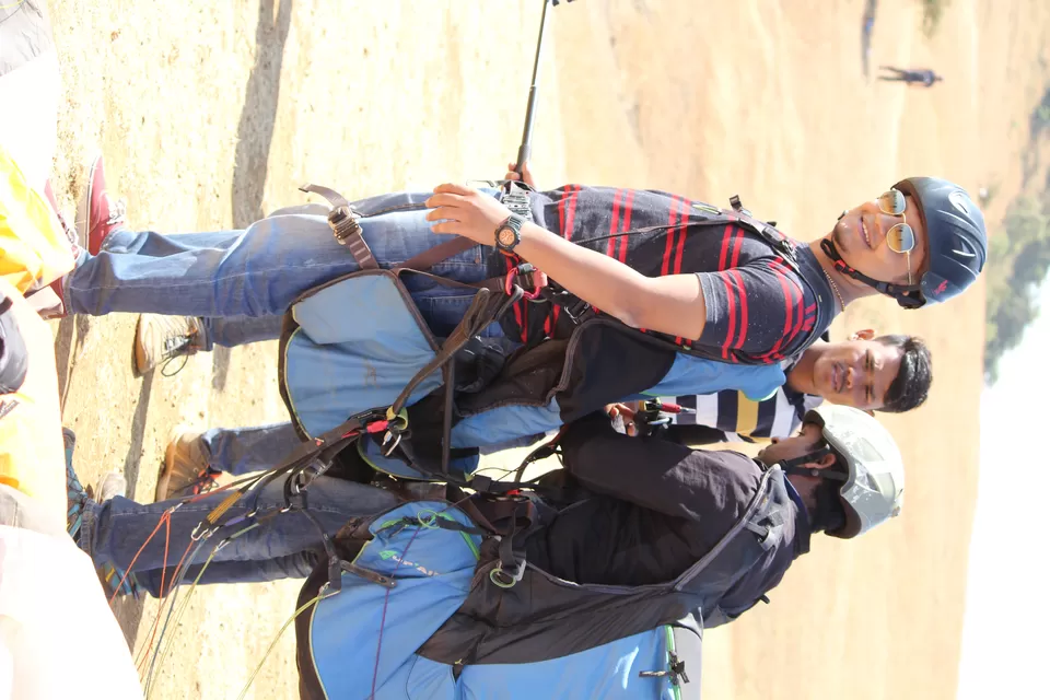 Photo of FLYING WITH THE BIRDS by Road Runner