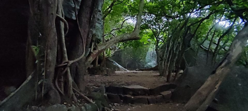 Photo of Pidurangala - the not so known Gem of Sigiriya, Srilanka 3/10 by Bhumika Mehta