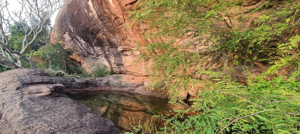 Photo of Pidurangala - the not so known Gem of Sigiriya, Srilanka 8/10 by Bhumika Mehta