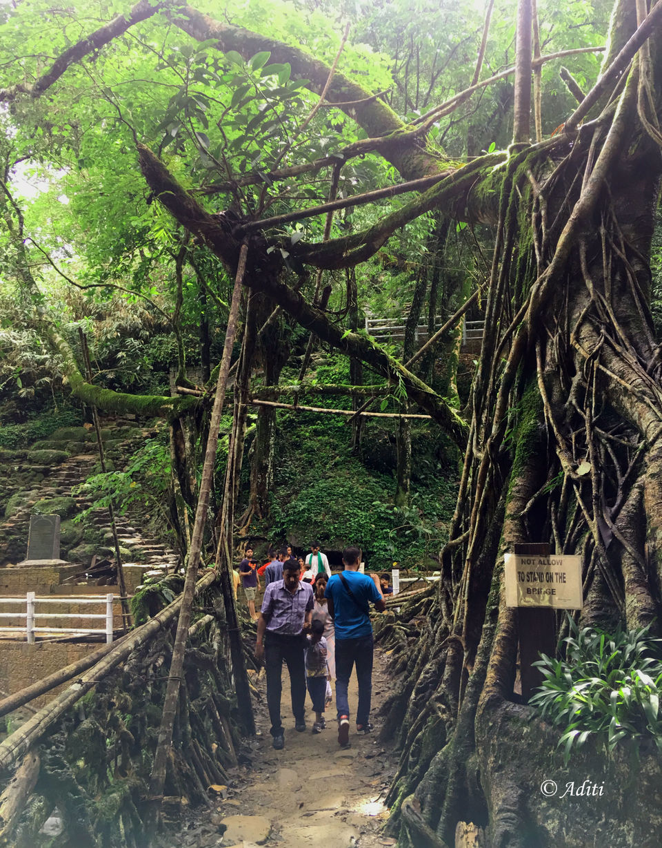Photo of Meghalaya - Scotland Of India #northeastitinerary by Aditi Gupta