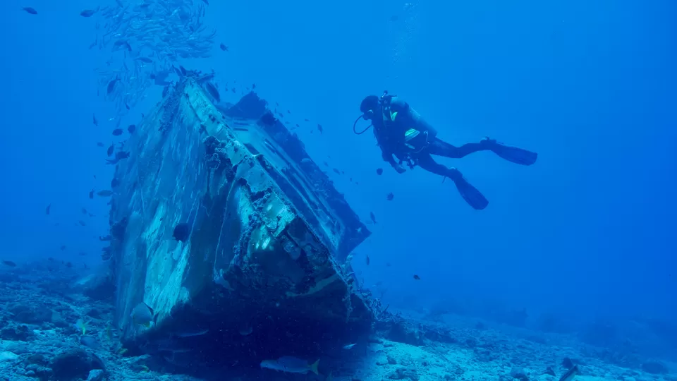Photo of Did You Know You Can Go Diving to See Ship Wrecks in India? Here Are the Best Places to Try It Out! by Namrata Das Adhikary