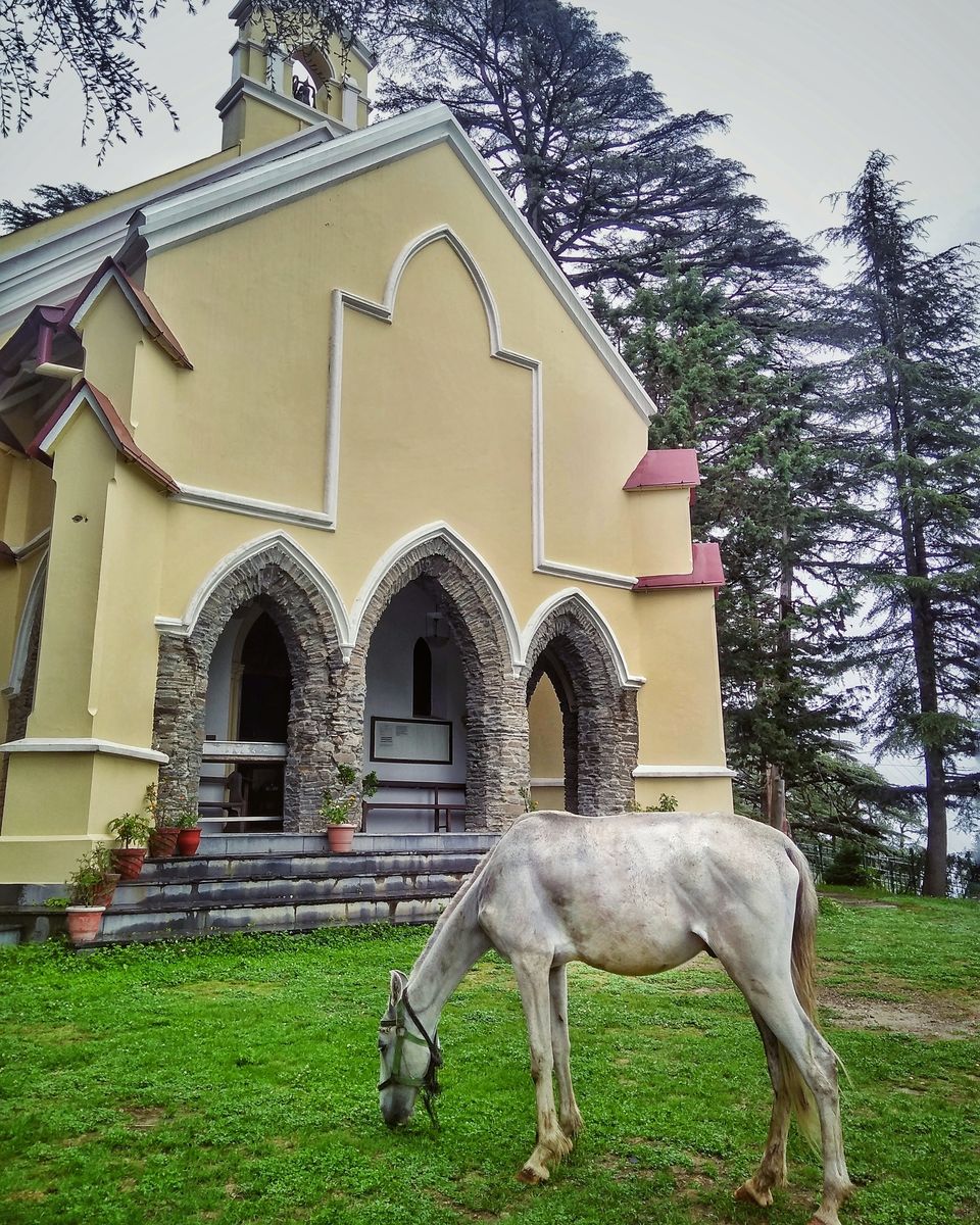 Photo of Why a walk through Landour is food to your soul 1/6 by Namrata Das Adhikary