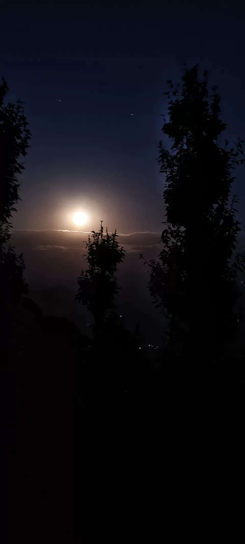 Photo of When the pandemic is over, make sure you travel to this secluded forest in Uttarakhand! by Namrata Das Adhikary