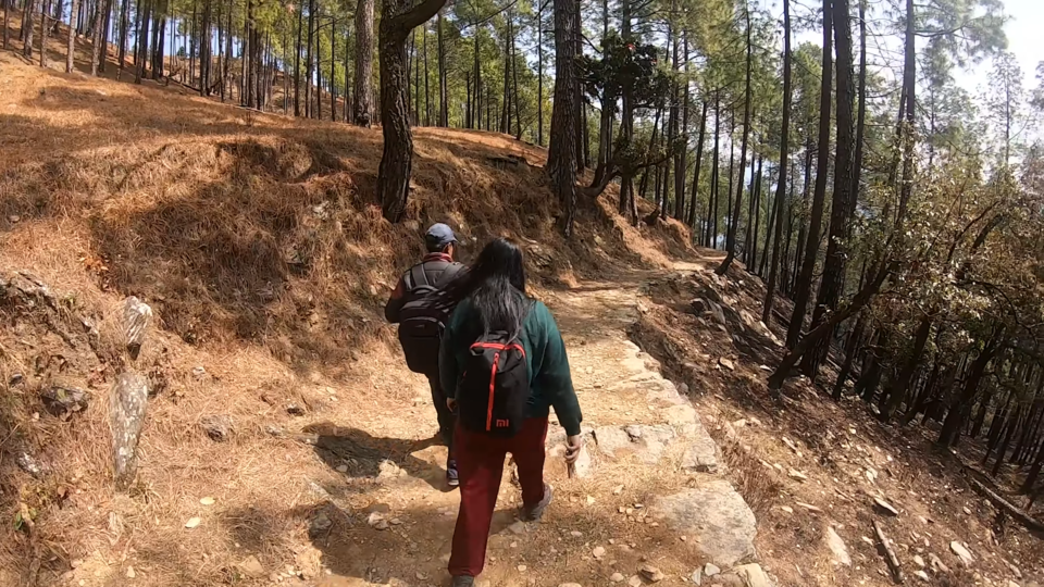 Photo of When the pandemic is over, make sure you travel to this secluded forest in Uttarakhand! by Namrata Das Adhikary