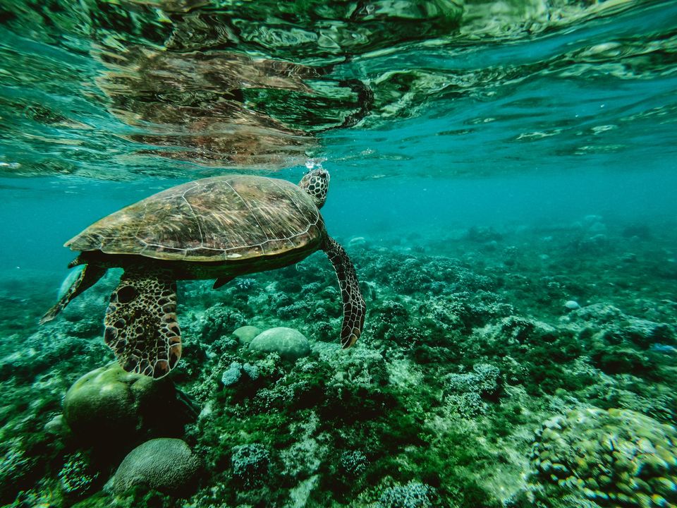 Photo of Experts Claim That the Climate Is Changing, But How Are We So Sure? #WorldEnvironmentDay 3/5 by Namrata Das Adhikary