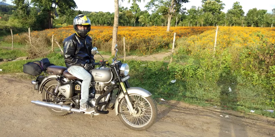 Photo of Bandipur National Park, Bandipur, Karnataka, India by joise Sebastian