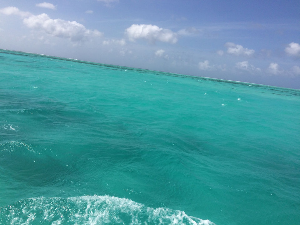 Photo of Maldives Haul by Yukta Tvisha