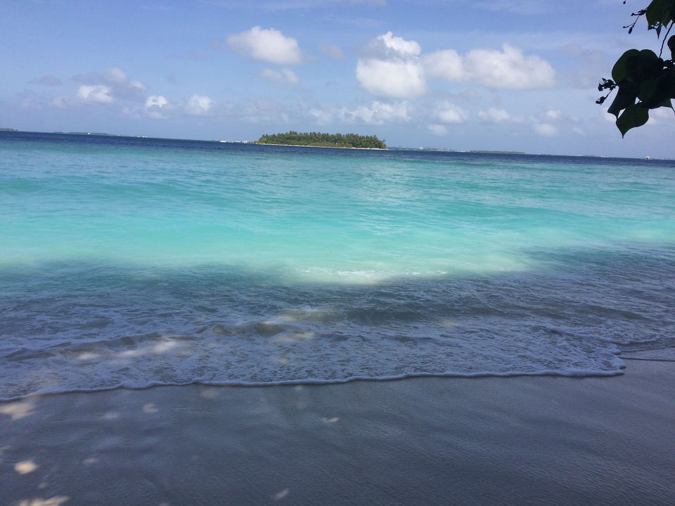 Photo of Maldives Haul by Yukta Tvisha