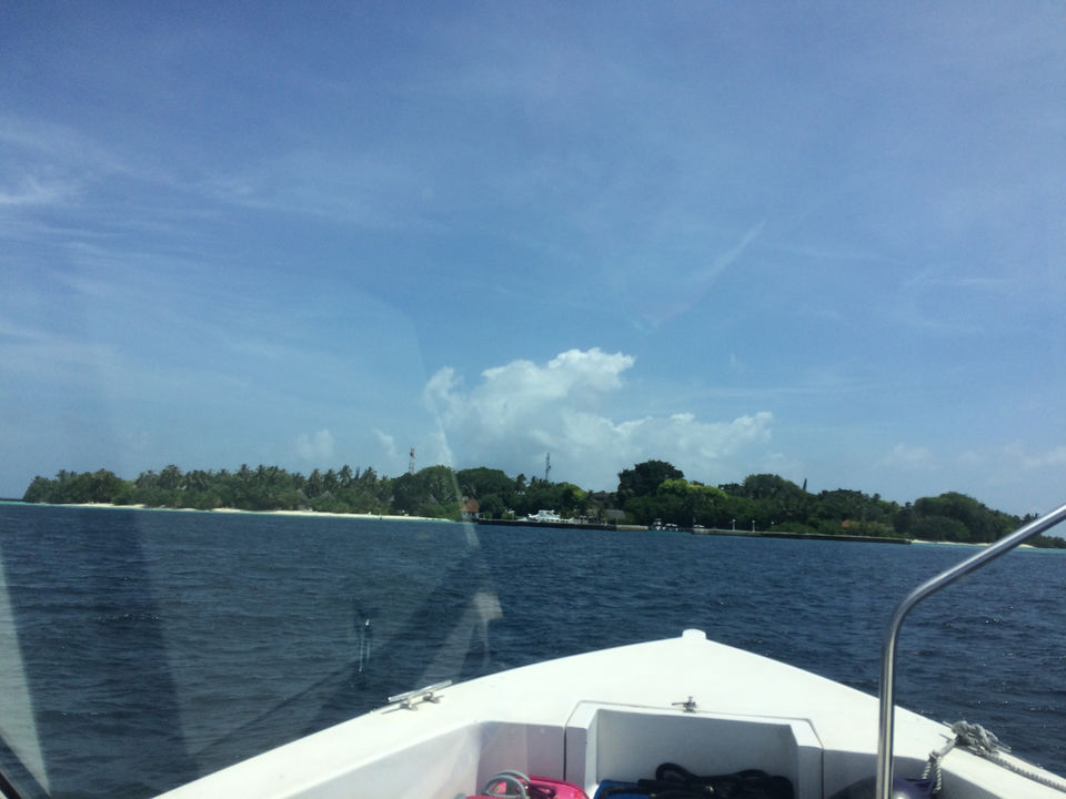 Photo of Maldives Haul by Yukta Tvisha