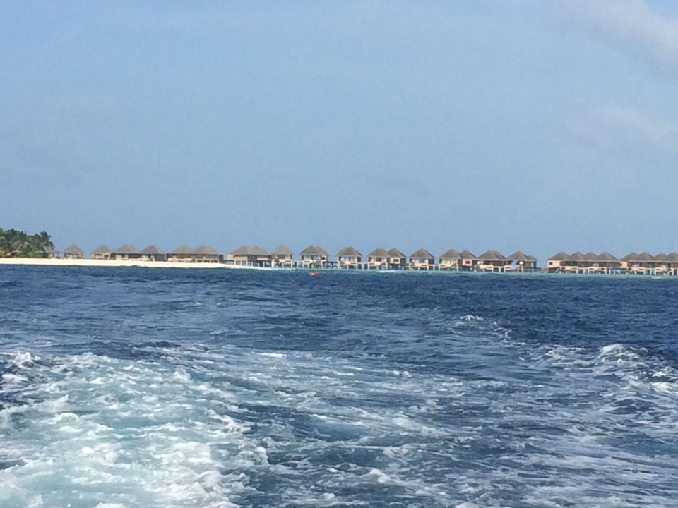 Photo of Maldives Haul by Yukta Tvisha