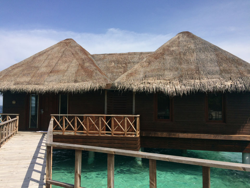 Photo of Maldives Haul by Yukta Tvisha