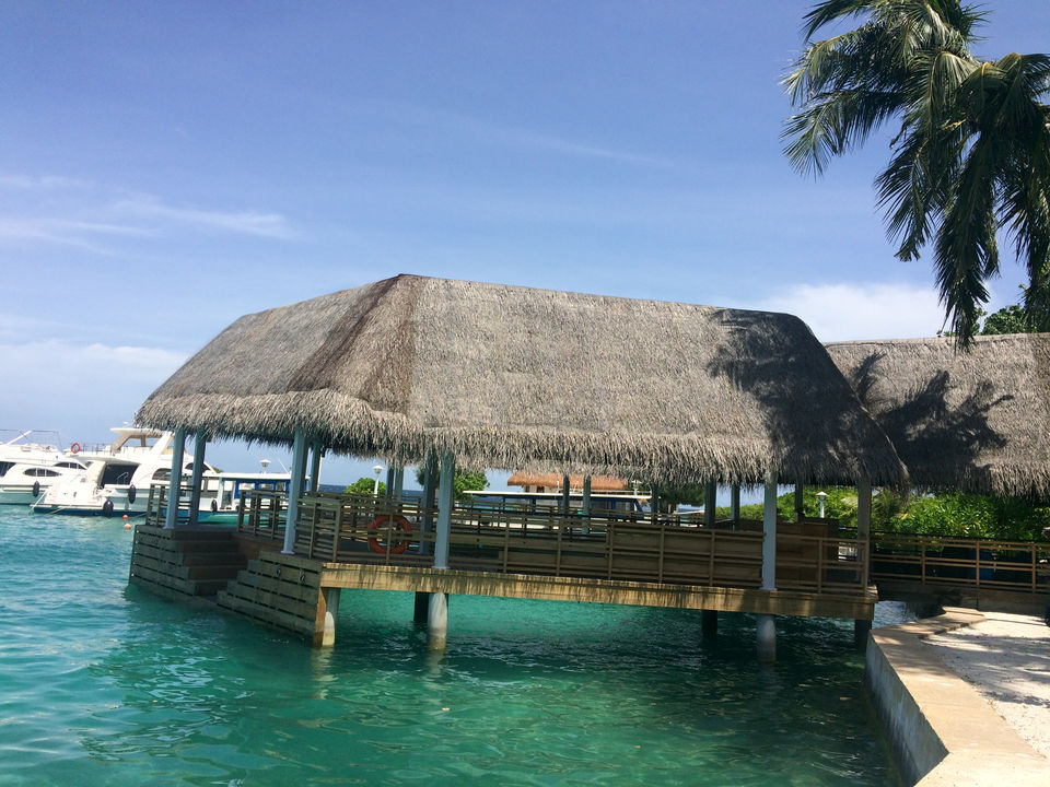 Photo of Maldives Haul by Yukta Tvisha