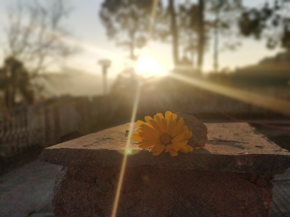 Photo of Kasauni- Uttarakhand by Amrita Banga