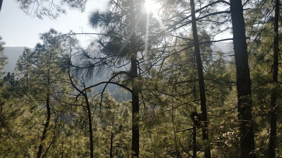 Photo of Kasauni- Uttarakhand by Amrita Banga