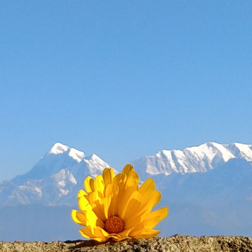 Photo of Kasauni- Uttarakhand by Amrita Banga