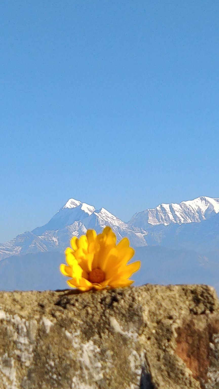 Photo of Kasauni- Uttarakhand by Amrita Banga