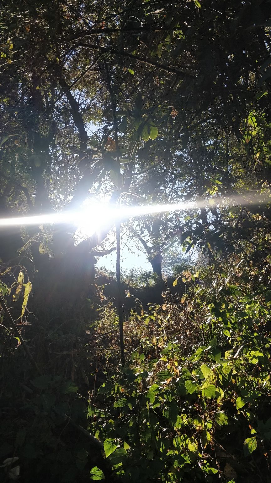 Photo of Kasauni- Uttarakhand by Amrita Banga