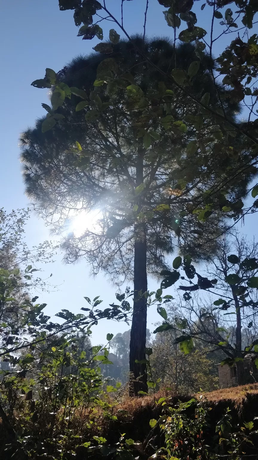 Photo of Kasauni- Uttarakhand by Amrita Banga