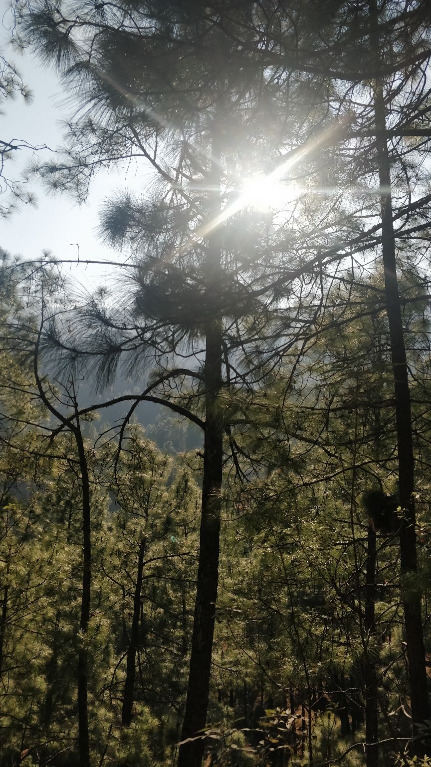 Photo of Kasauni- Uttarakhand by Amrita Banga