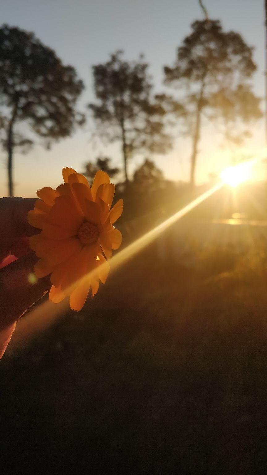 Photo of Kasauni- Uttarakhand by Amrita Banga