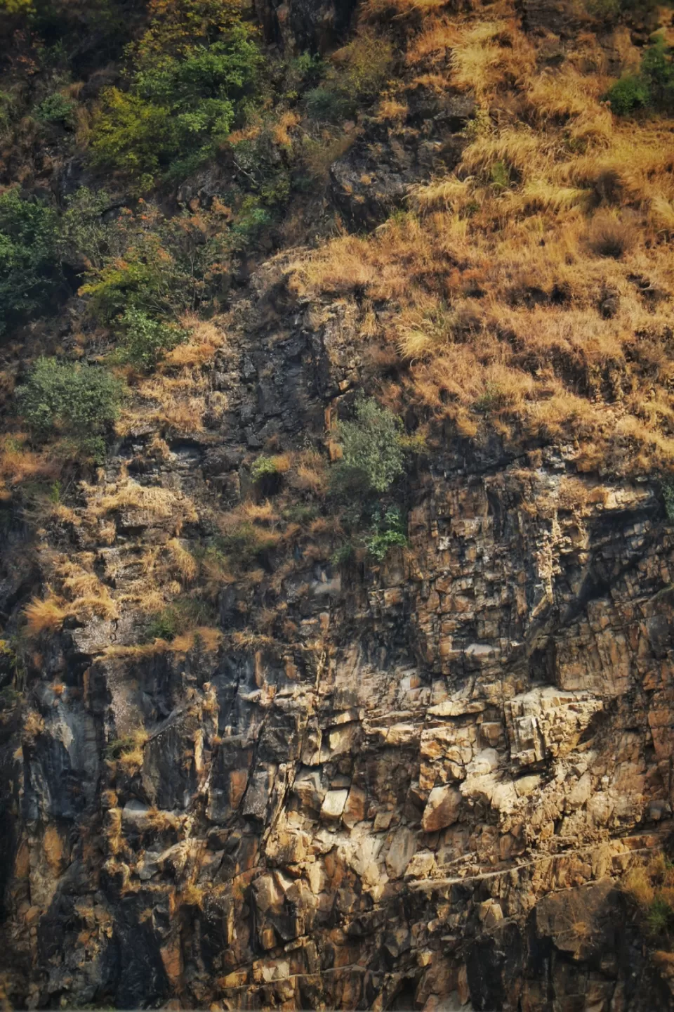Photo of Amazing Trip by PIYUSH CHIRKUTE