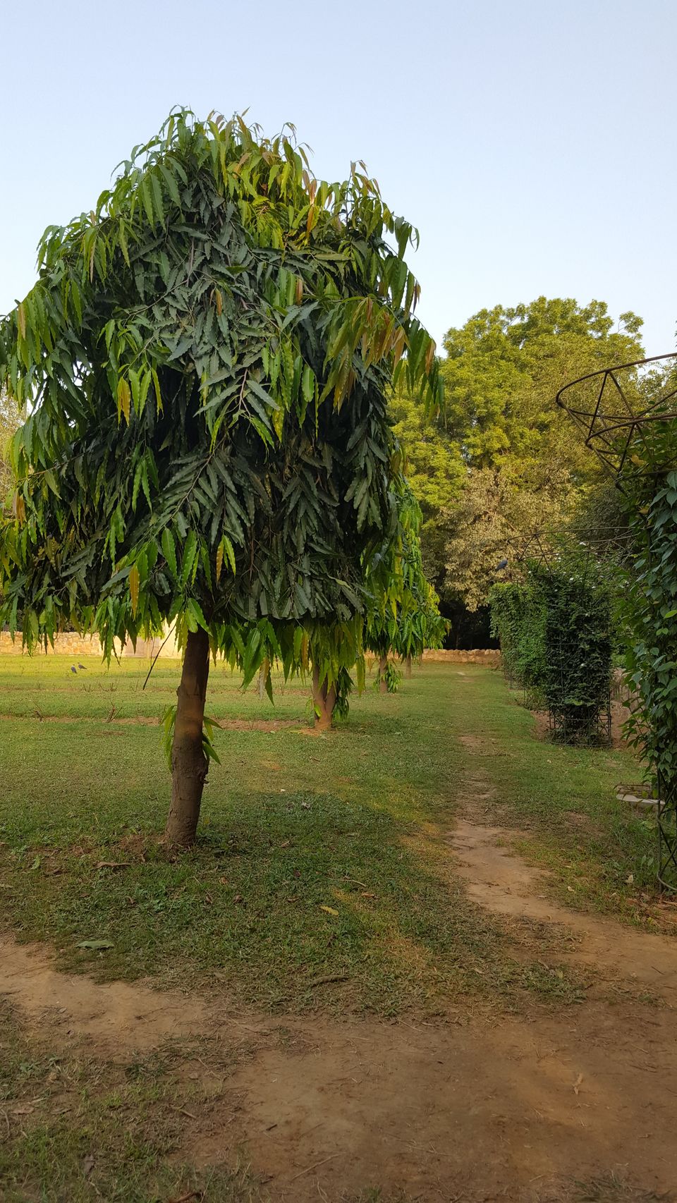 Photo of Lodhi garden- Delhi 2/19 by Jagjeet Singh