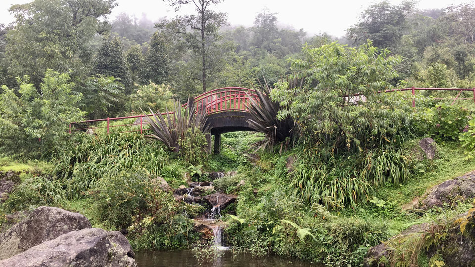 Photo of Plant Conservatory, Gangtok, Sikkim, India by Ranjan Singh