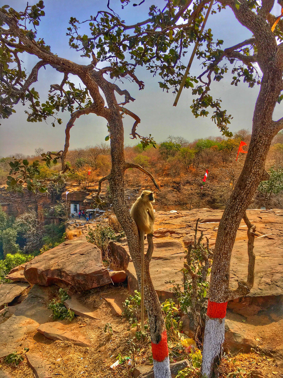 Photo of Garadia Mahadev:A Gem Of Madhya Pradesh by Ranjan Singh